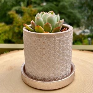 CHIVE Balter Planter - Indoor/Outdoor Plant Pot & Saucer Gardening & Gift